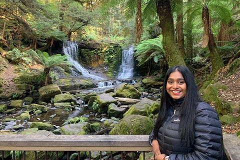 Day Tour In Mt. Field, Mt. Wellington, Bonorong Wildlife Sanctuary And Richmond - eAccommodation 5