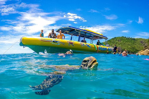 Great Barrier Reef Scenic Flight And Ocean Rafting Whitehaven Beach Day Trip - eAccommodation 1