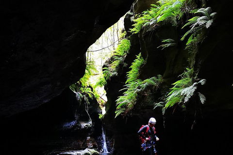 Full-Day Canyoning Experience At Stunning Empress Canyon - eAccommodation 2