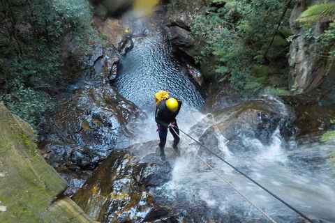 Full-Day Canyoning Experience At Stunning Empress Canyon - eAccommodation 4