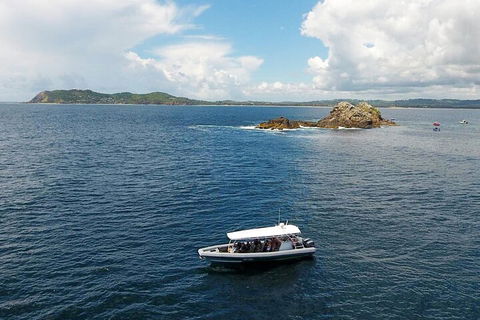 Julian Rocks Byron Bay Cruise - eAccommodation 5
