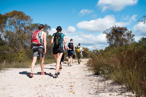 Pittwater Discovery Kayaking Tour - eAccommodation 0