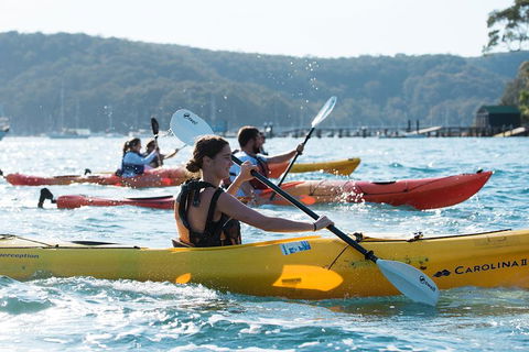 Pittwater Discovery Kayaking Tour - eAccommodation 2