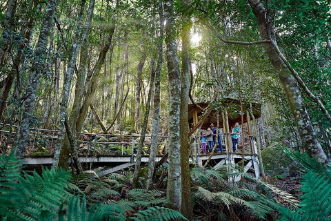 Private Blue Mountains Tour - eAccommodation 4