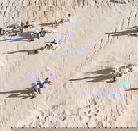 Unlimited Sandboarding - eAccommodation