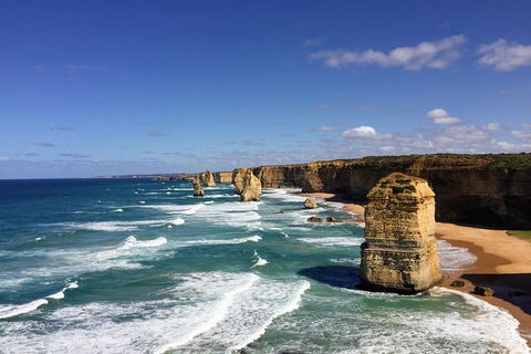 Great Ocean Road Reverse Itinerary Tour - eAccommodation 4