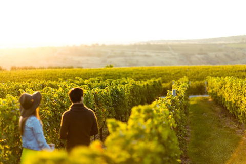 Margaret River Private Tour - eAccommodation 2