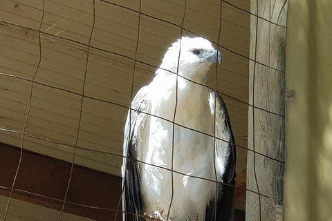 Phillip Island Penguin And Wildlife Tour - eAccommodation 5