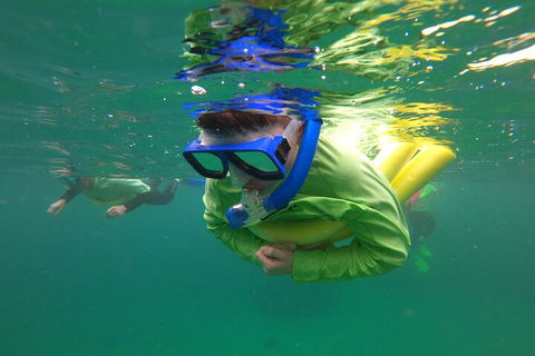 Manly Snorkel Trip And Nature Walk With Local Guide - eAccommodation 5