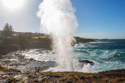 Private Tour: Sydney South Coast & Highlands - eAccommodation 2