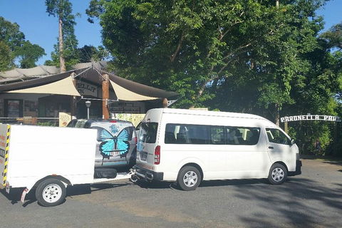 Airport Transfer To Or From Cairns Hotels For Up To 13 People - eAccommodation 4