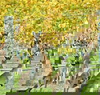 Margaret River Indulge and Discover Day Tour - eAccommodation