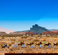 Alice Springs Camel Tour - eAccommodation