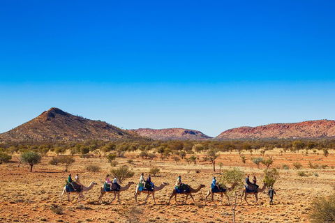 Alice Springs Camel Tour - eAccommodation 0