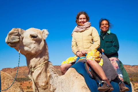 Alice Springs Camel Tour - eAccommodation 3