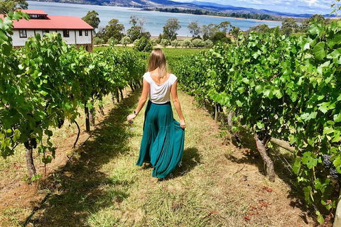 Tamar Valley Wine Tour With Lunch - eAccommodation 2