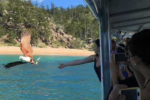 Aquascene Magnetic Island Discovery Tour - eAccommodation 2