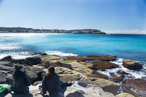 Kiama South Coast Tour With Coastline, Farmlands, Aboriginal Engravings & Lunch - eAccommodation 2