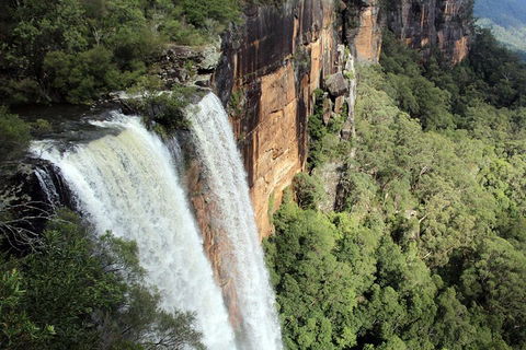 Private Grand Pacific Drive And Southern Highlands Tour - eAccommodation 1