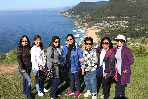 Private Grand Pacific Drive And Southern Highlands Tour - eAccommodation 3