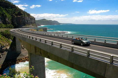 Private Grand Pacific Drive And Southern Highlands Tour - eAccommodation 5