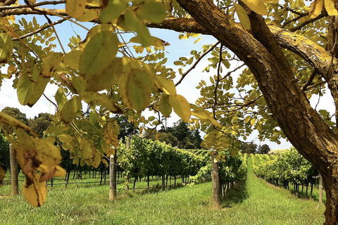 Private Southern Highlands Day Trip From Sydney Including Fitzroy Falls - eAccommodation 5