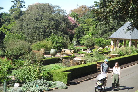 Private City Walking Tour From Your Hotel - eAccommodation 1