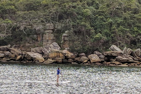Manly & Sydney's Northern Beaches With 'Personalised Sydney Tours' - eAccommodation 3