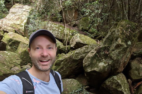 Australian Wildlife & Waterfalls Private Tour With 'Personalised Sydney Tours' - eAccommodation 4