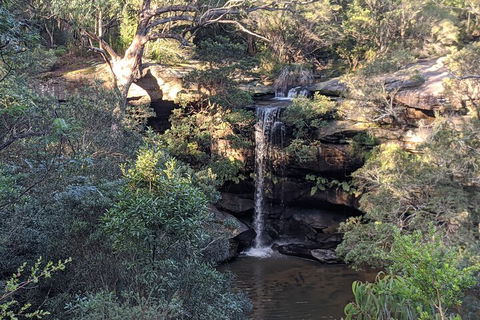 Australian Wildlife & Waterfalls Private Tour With 'Personalised Sydney Tours' - eAccommodation 5