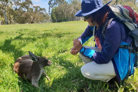 Mount Lofty Hike And Cleland Wildlife Park Day Trip From Adelaide - eAccommodation 1