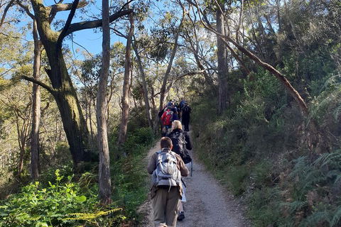 Mount Lofty Hike And Cleland Wildlife Park Day Trip From Adelaide - eAccommodation 3