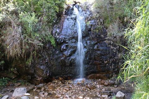 Mount Lofty Hike And Cleland Wildlife Park Day Trip From Adelaide - eAccommodation 4