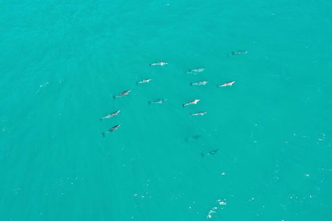 Port Macquarie Hastings Explorer - 30 Min VIP Private Flight - eAccommodation 4