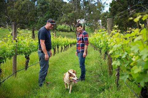 LGBT+ Friendly Full Day Yarra Valley & Dandenong Ranges Private Tour - eAccommodation 4