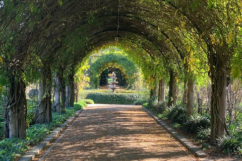 LGBT+ Friendly Full Day Yarra Valley & Dandenong Ranges Private Tour - eAccommodation 5