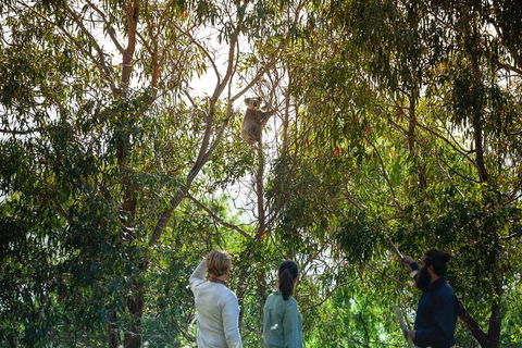 LGBT+ Friendly 3 Day Tour The Grampians, Daylesford & Ballarat - eAccommodation 4