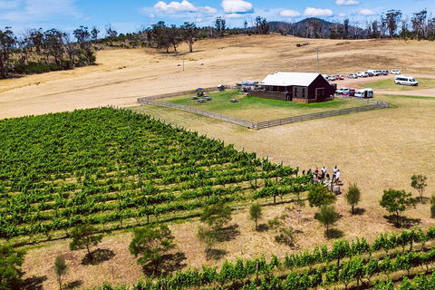 Tasmanian Wine Tour - eAccommodation 3