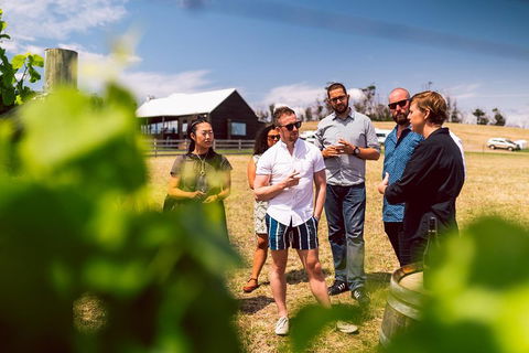 Tasmanian Wine Tour - eAccommodation 5