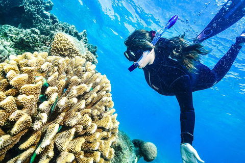 Green Island Day Trip From Cairns - eAccommodation 1