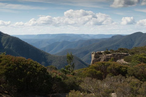 Inside The Greater Blue Mountains World Heritage - A Private Wildlife Safari Overnight - eAccommodation 5