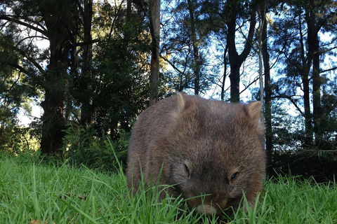 From The Mountains To The Bay - 4 Day Rediscovery Private Tour - eAccommodation 5