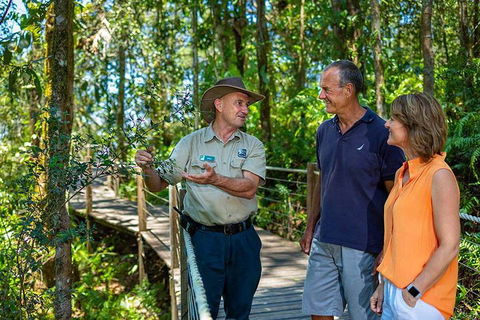 Kuranda Scenic Railway Day Trip From Cairns - eAccommodation 1