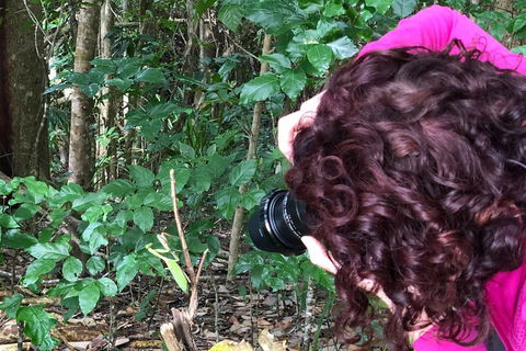 Let's Go Buggin & Let's Go Shroomin - Photography & Nature Walking Tours - eAccommodation 1
