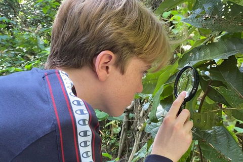 Let's Go Buggin & Let's Go Shroomin - Photography & Nature Walking Tours - eAccommodation 3