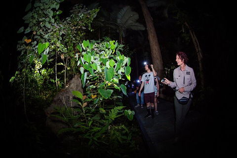 Let's Go Buggin & Let's Go Shroomin - Photography & Nature Walking Tours - eAccommodation 4