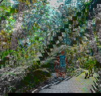 Full Day Cooktown Private Tour - eAccommodation