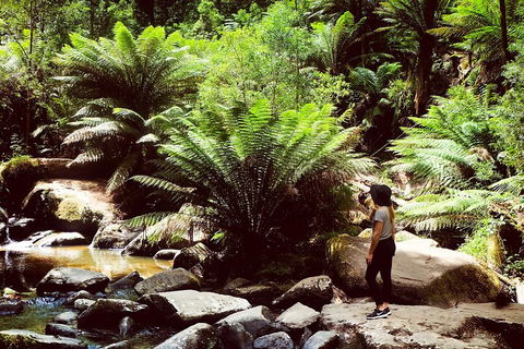 Private Yarra Valley & Dandenong Ranges Hiking Tour From Melbourne - eAccommodation 2