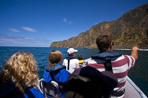 Seal Island Boat Tour From Victor Harbor - eAccommodation 0