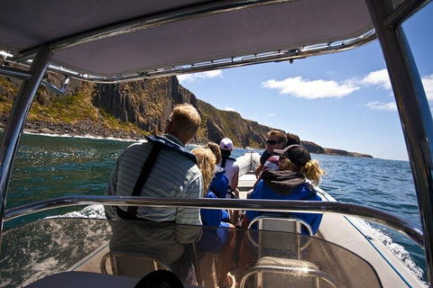 Seal Island Boat Tour From Victor Harbor - eAccommodation 2